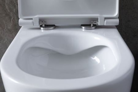 Чаша унитаза подвесная Allen Brau Reality 4.32006.20 цвет белый без сиденья безободковая каскадный смыв