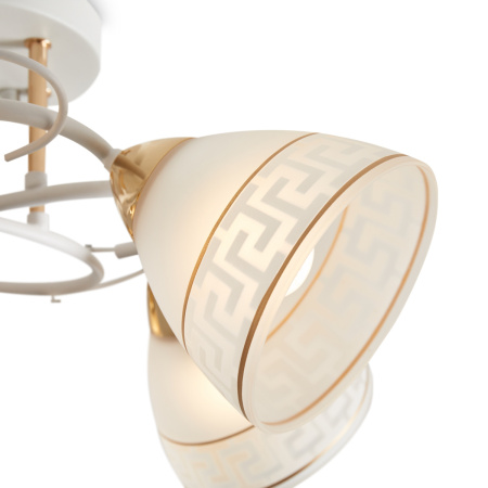 Люстра потолочная Freya Entle (Энтле) FR5465CL-05W