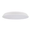 Светильник потолочный Loft It Brim 10226 White
