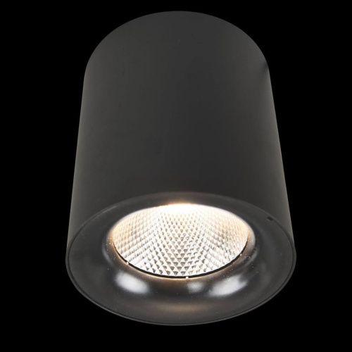 Светильник накладной Arte Lamp Facile (Фациле) A5118PL-1BK - фото 2