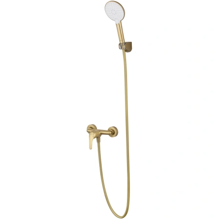 Смеситель для душа Wonzon & Woghand WW-4540-BG настенный золото