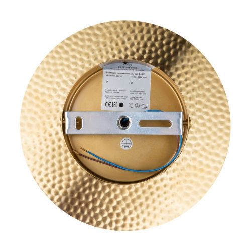 Бра Freya Camelia FR5202WL-01BS - фото 4