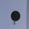 Душевая система RGW Shower Panels (Шоувер панелс) 21140852-04 встраиваемая в стену цвет черный