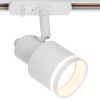 Трековый светильник Citilux Bruno (Бруно) CL565T10