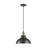 Светильник подвесной Lumion Dario (Дарио) 3675/1