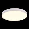 Светильник потолочный ST Luce ST606 ST606.532.96