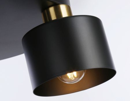 Светильник потолочный Ambrella Light Traditional (Традитионал) TR8121