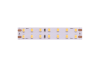 Светодиодная лента Designled DSG2196 00-00000529