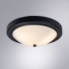 Светильник потолочный Arte Lamp James (Джамес) A4049PL-3BK