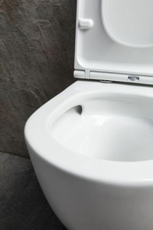 Чаша унитаза подвесная Allen Brau Priority Tornado 4.31008.20 цвет белый без сиденья безободковая душевой смыв