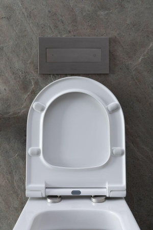 Чаша унитаза подвесная Allen Brau Priority 4.31002.20 цвет белый без сиденья безободковая каскадный смыв