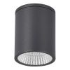 Уличный потолочный светильник ST Luce Tubo (Тубо) SL9514.712.01