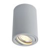 Светильник потолочный Arte Lamp Sentry (Сентры) A1560PL-1GY