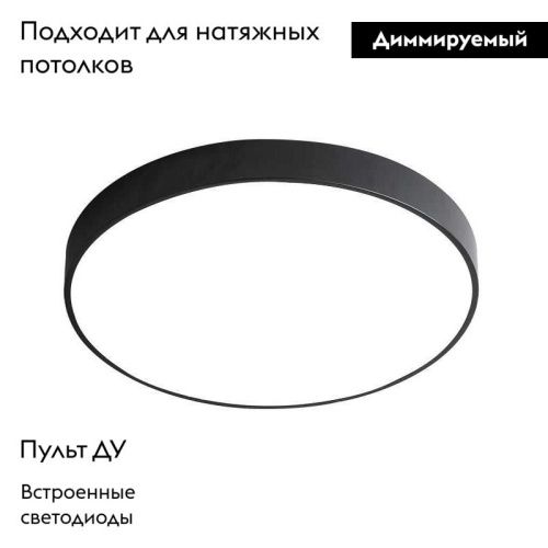 Светильник накладной Arte Lamp Arena (Арена) A2661PL-1BK - фото 2