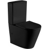 Унитаз напольный с бачком WeltWasser WW SALZBACH 001 MT-BL (10000003765) черный матовый с сиденьем микролифт безободковый душевой смыв