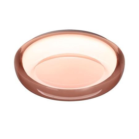 Настенно-потолочный светильник Sonex Color (Цолор) 7778/DLN