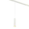 Трековый магнитный светильник Myfar Ray (Раы) MT0221-20W3K-S-W