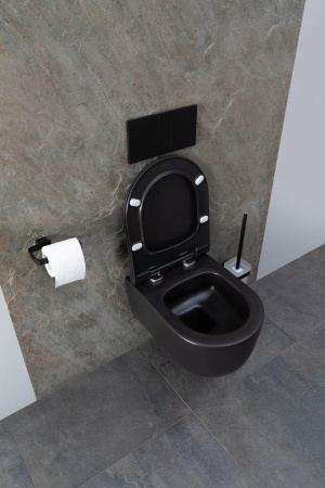 Чаша унитаза подвесная Allen Brau Priority 4.31002.31 цвет черный матовый без сиденья безободковая каскадный смыв