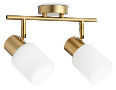 Спот Ambrella Light Traditional (Традитионал) TR3969