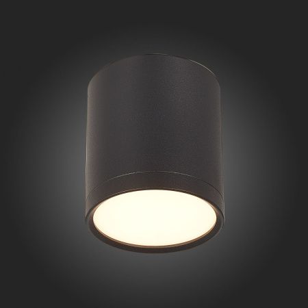 Светильник потолочный ST Luce Rene (Рене) ST113.432.05