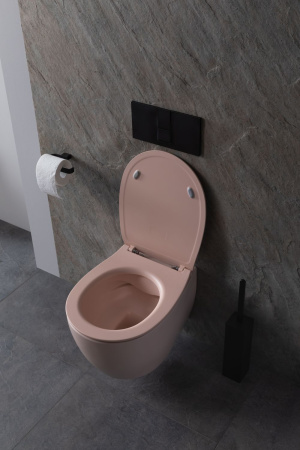 Чаша унитаза подвесная Allen Brau Fantasy 4.11004.SM цвет розовый без сиденья безободковая каскадный смыв