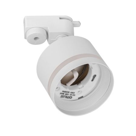Трековый светильник Citilux Hardy (Харды) CL002T10