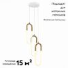 Люстра подвесная ST Luce Mofisto (Мофисто) SL1579.303.03