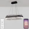 Люстра подвесная Natali Kovaltseva Royalton (Роыалтон) LED LAMPS 81276