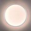 Настенно-потолочный светильник Sonex Pale (Пале) 7775/ELN