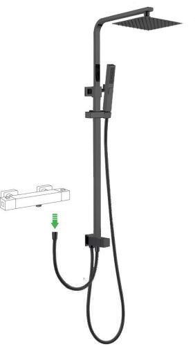 Душевая стойка Allen Brau Infinity 5.21031-31 настенная цвет черный