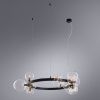 Люстра подвесная Arte Lamp Vincent (Винцент) A7790SP-15BK