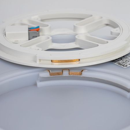 Светильник потолочный музыкальный Citilux Etalon (Еталон) CL750321R