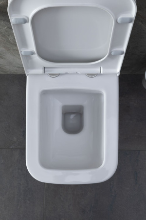 Чаша унитаза подвесная Allen Brau Infinity 4.21011.20 цвет белый без сиденья безободковая каскадный смыв