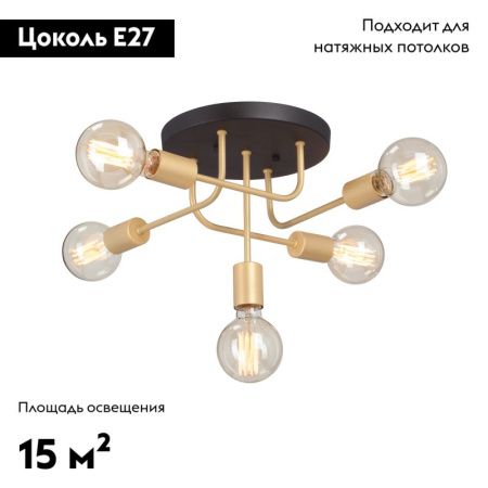 Люстра потолочная Vitaluce V3998 V3998-8/5PL