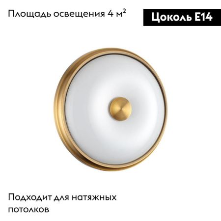 Настенно-потолочный светильник Odeon Light Pelow (Пелов) 4956/2