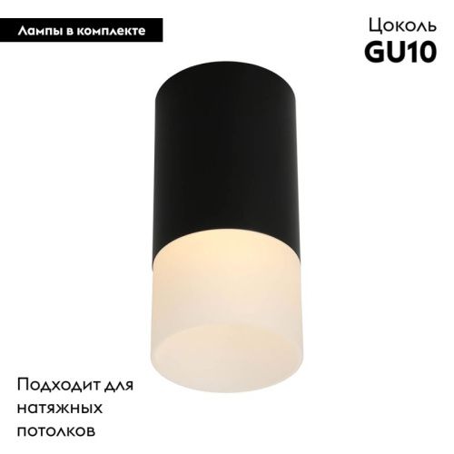 Настенно-потолочный светильник Omnilux Lucido (Луцидо) OML-100619-01 - фото 2
