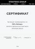 Люстра потолочная Eurosvet Force (Форце) 90330/2 серый