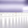 Светодиодная лента Maytoni Led Strip 10147