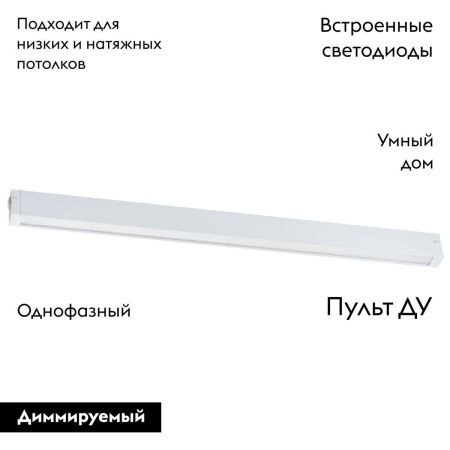 Трековый однофазный светильник Lightstar Teta (Тета) 205246