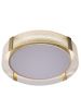 Светильник потолочный Zortes Gerda (Герда) ZRS.1097.50