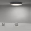Светильник потолочный ImperiumLoft Ecla (Ецла) 101547-26