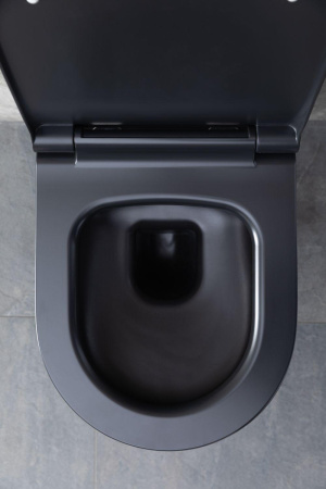 Чаша унитаза подвесная Allen Brau Priority 4.31001.31 цвет черный матовый без сиденья безободковая каскадный смыв