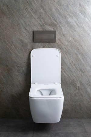 Чаша унитаза подвесная Allen Brau Liberty 4.33007.20 цвет белый без сиденья безободковая каскадный смыв