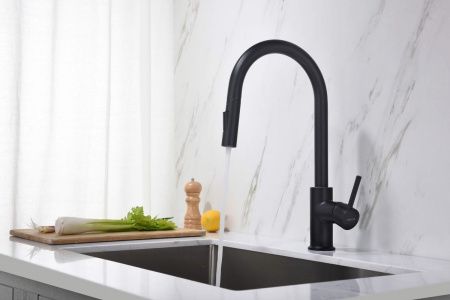 Смеситель для кухни Aquatek ЕВРОПА AQ1384MB на мойку черный