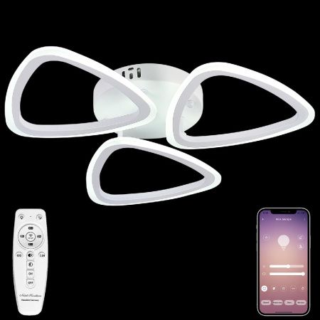 Светильник потолочный Natali Kovaltseva LED Light (ЛЕД Лигхт) LED LAMPS 81127/3C