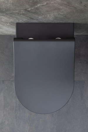 Чаша унитаза подвесная Allen Brau Priority 4.31001.AN цвет черный без сиденья безободковая каскадный смыв