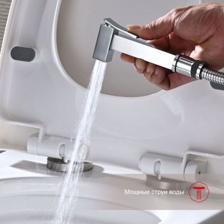 Гигиенический душ со смесителем Raglo R01 R01.52 хром