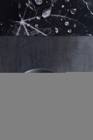 Раковина керамическая Allen Brau Fantasy 4.11022.AN 60х40 накладная цвет черный без отверстий под смеситель