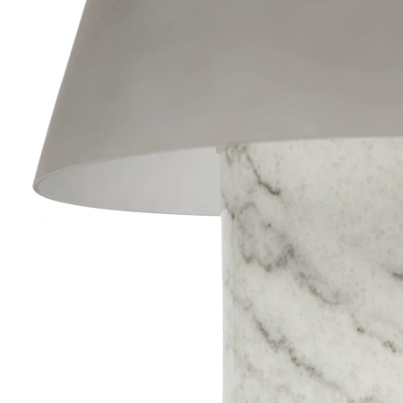 Настольная лампа Cosmo Birch CT0015