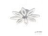 Люстра потолочная iLedex Lotus (Лотус) 6815/8 WH